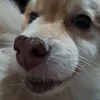 gabrielgoyb