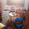 rose.poultry.farm