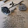 jamelkalfi497