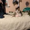 a_very_little_dude