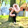 carmens_abnehmweg