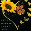 lizisanchez46
