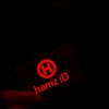 hamz.ids
