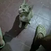 d4v3d..3