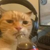 dominicvillanueva00