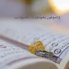 user19895241989