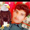 fiazvirk_