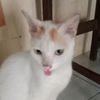 hajalimkiki1188