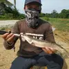 johnlabijohn