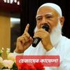 হেযাজের কাফেলা