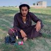 bow313sarkar