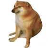Meme Everyday