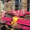 margarita.mikylchhik