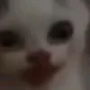 thesamsuxk