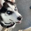 lolasassygirl4