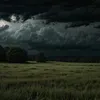 nhuy_6731