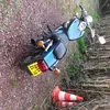 yannlaurent406