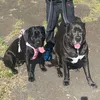 canelo_and_minnie