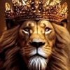 qalib_666