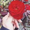 baraa_ms.25