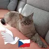 ajakonecna1