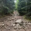zieloneogrody3