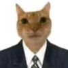 nawalcats