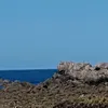 ganelloin