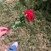 ayo__303