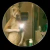 benjaminsosa76