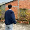 userftklvdxypx5