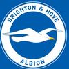 brightonfcniomrecklaytop