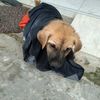 nael_tytyd