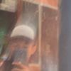 d.magno61