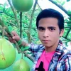userbnnexiqqdq