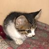 .liz165