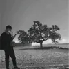 shahfawad15