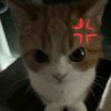 quantingle
