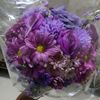 dian_flowers1