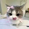 afiq.naufal70