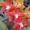www.tiktok.comyati74