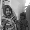 _laauuragrauu