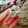 ceylancan3