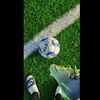 sai__nsem