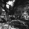 limanck