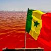 senegal879