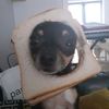 billyd3vine
