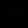 kch4_shexani205
