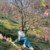 phuong83hg