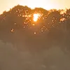 rayondesoleil116